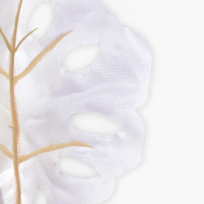 Timeless Petals (White) Premium Artificial Floral - Set Of Two media 6