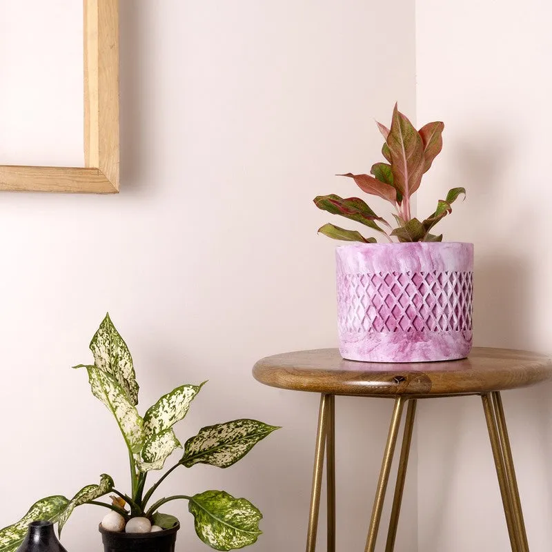 Diemona Planter - Pink media 2