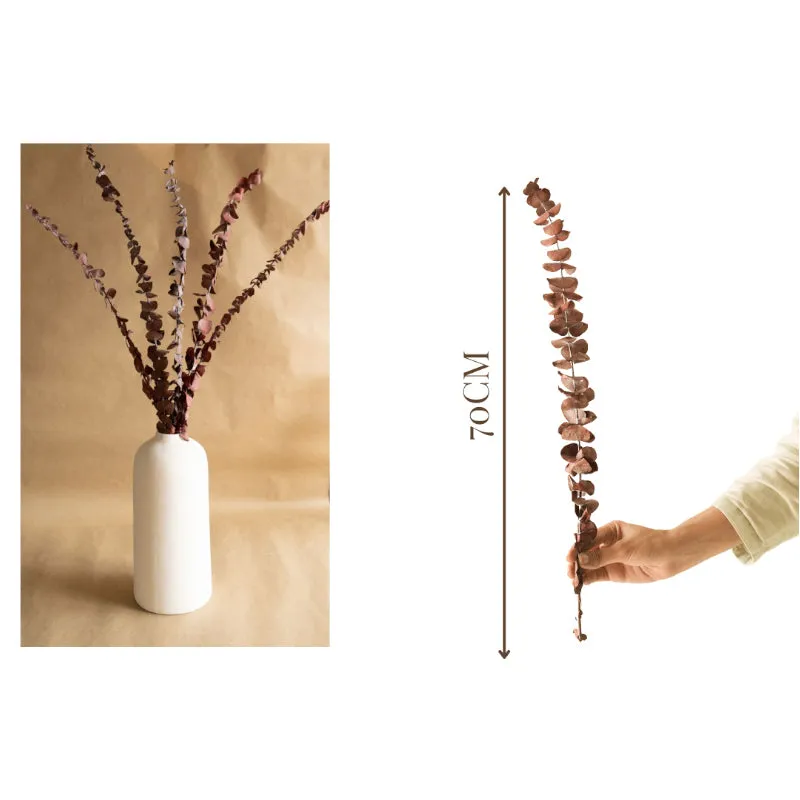 Eumo Dried Eucalyptus Leaf - Set Of Five media 5
