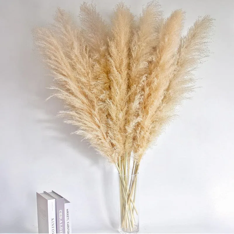 Artificial Rustic Pampas Grass - Set Of Five media 3