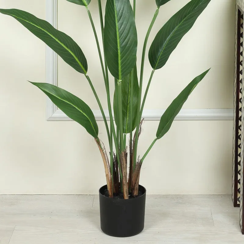 Artificial Strelitzia Plant With Black Fiber Pot - 3.9 Feet media 4