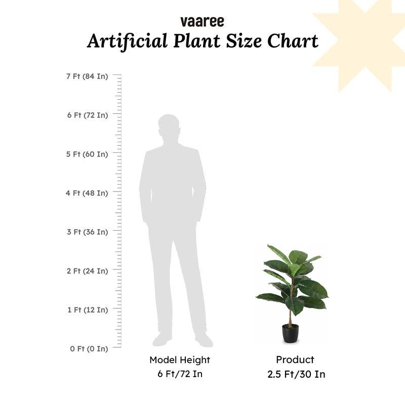 Faux Green Rubber Plant With Black Plastic Pot - 2.46 ft media 7
