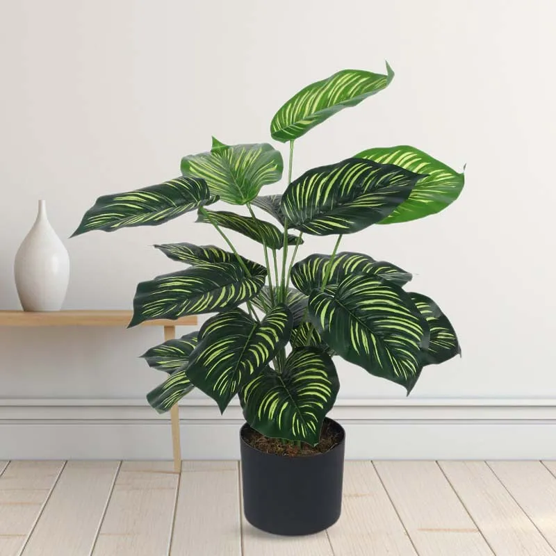 Faux Lush Peperomia Plant With Black Plastic Pot - 2.3 Feet media 3