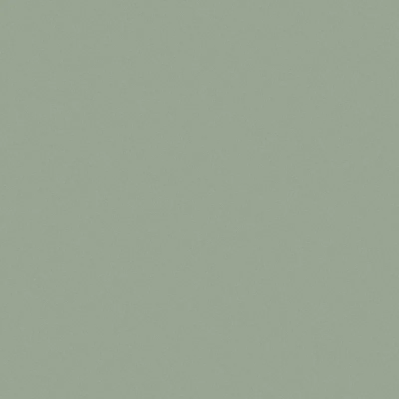 Solid Comfort Percale Solid Cotton Bedsheet (Fern Green) - 200 TC media 4