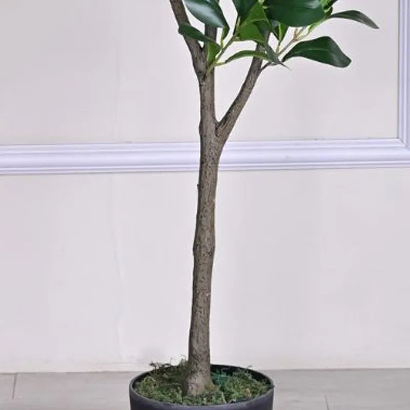 Artificial Peperomia Plant Without Pot - 3.9 Feet media 4