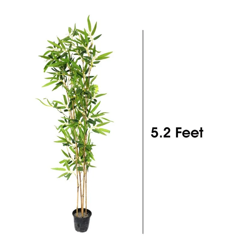 Petaluxe Artificial Bamboo Plant With Black Plastic Pot - 5.1 Feet media 6