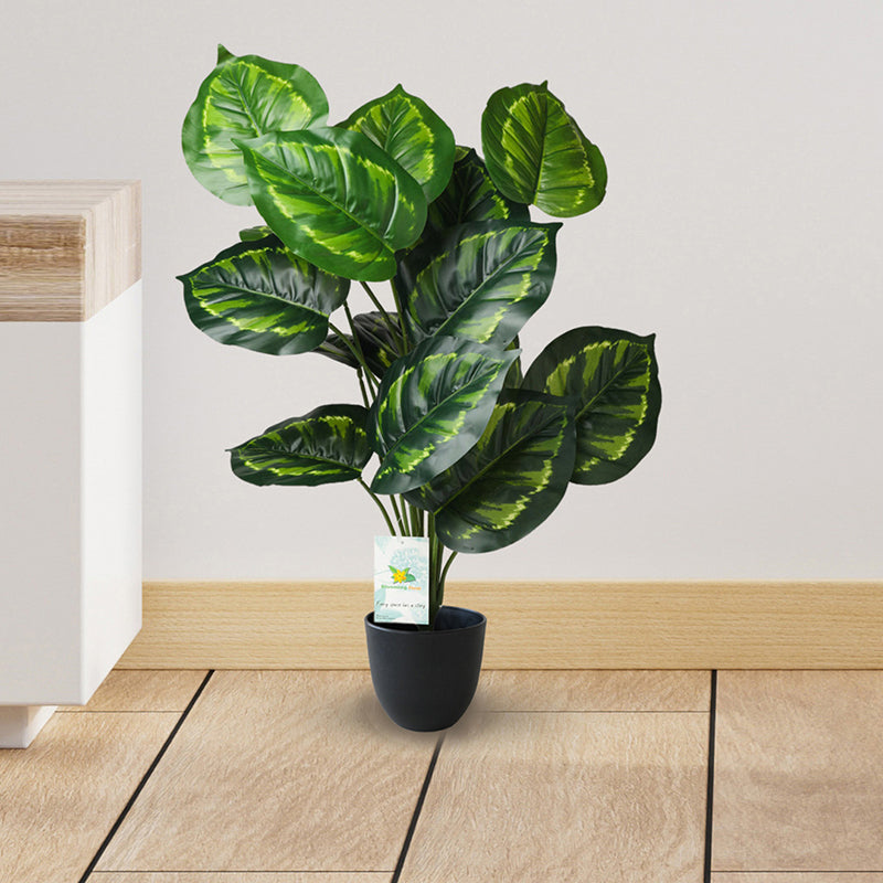 Faux Everlasting Micans Philodendron Plant With Black Plastic Pot - 74 cm (2.4 ft) media 3