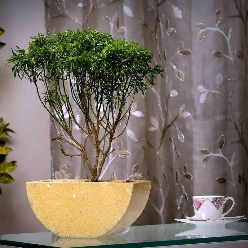 Yellow Terrazzo Hand Crafted Marble Planter media 3