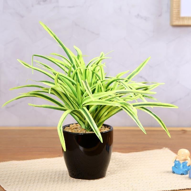 Faux Big Dracaena Bonsai (27 cms) - Yellow media 2