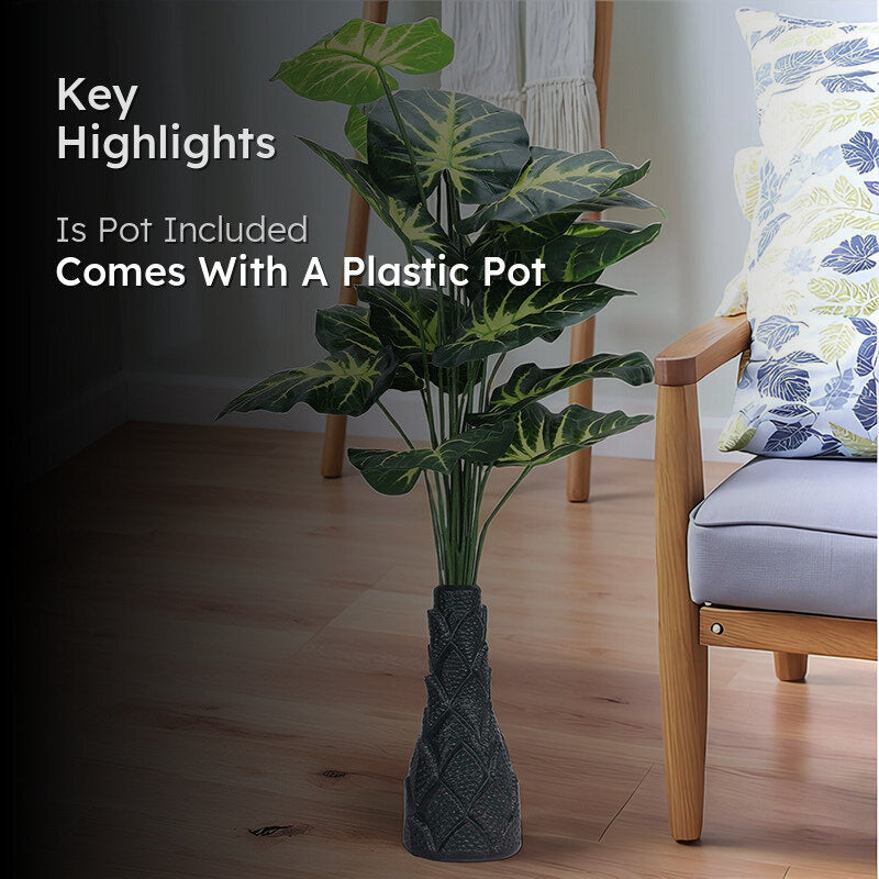 Infinita Artificial Money Plant II With Black Plastic Pot - 3 Feet media 2