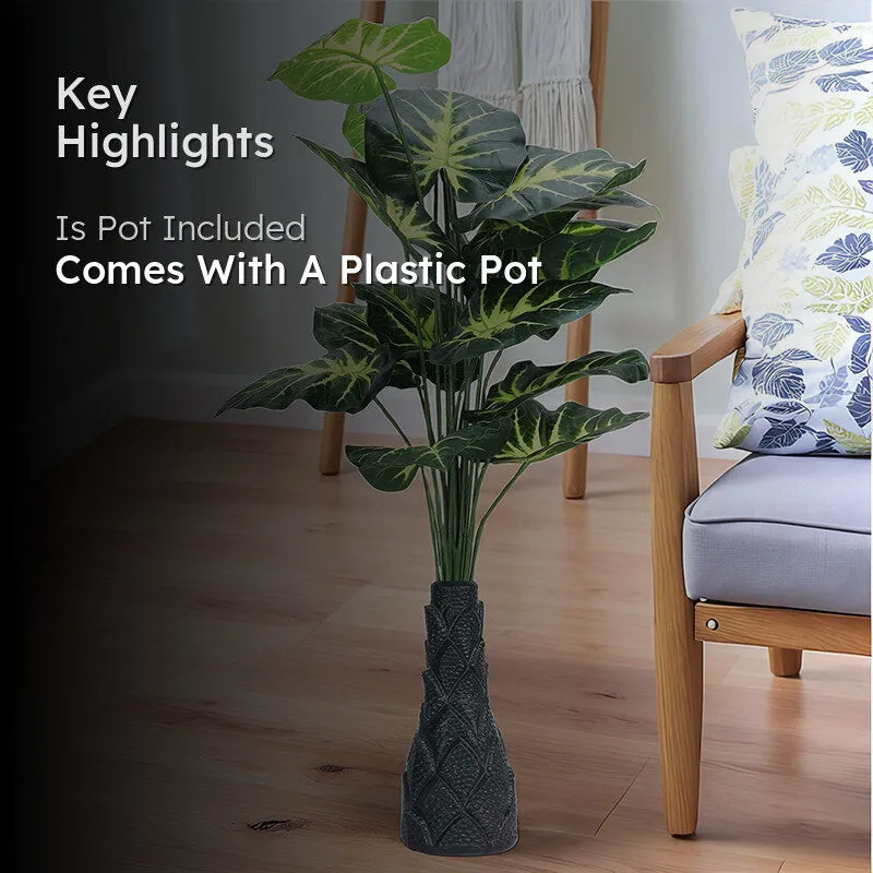 Infinita Artificial Money Plant II With Black Plastic Pot - 3 Feet media 2