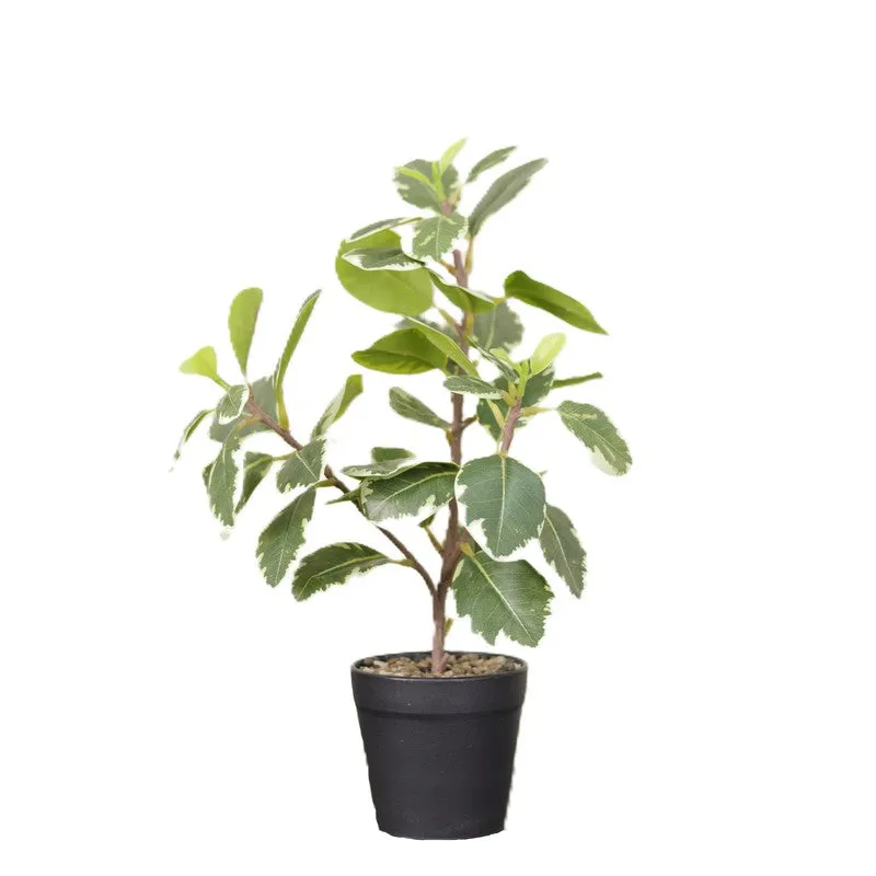 Artificial Green Quercus Leaf Small Plant With Black Fiber Pot - 1 Feet media 4