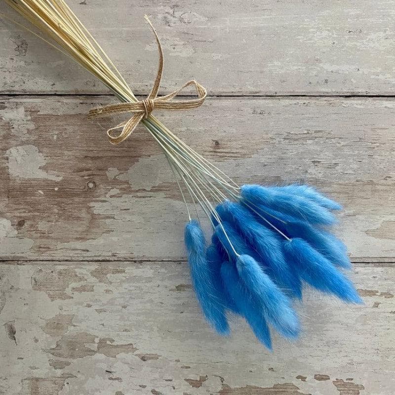 Naturally Dried Bunny Tail Stems (Blue) - Set Of Fifty media 4