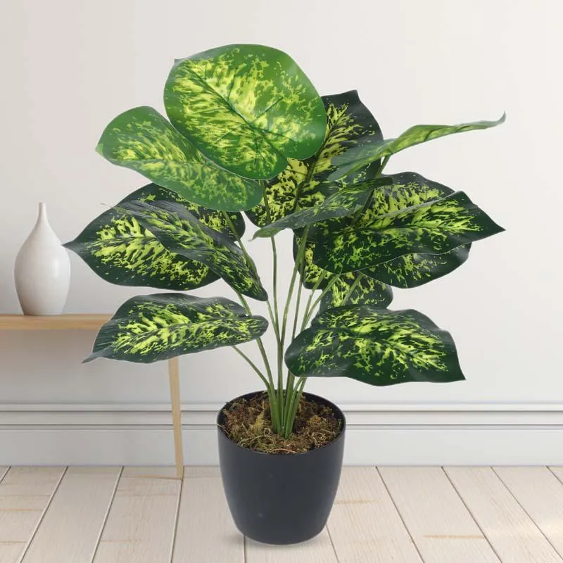 Faux Lush Dieffenbachia Plant With Black Plastic Pot - 1.8 Feet media 2