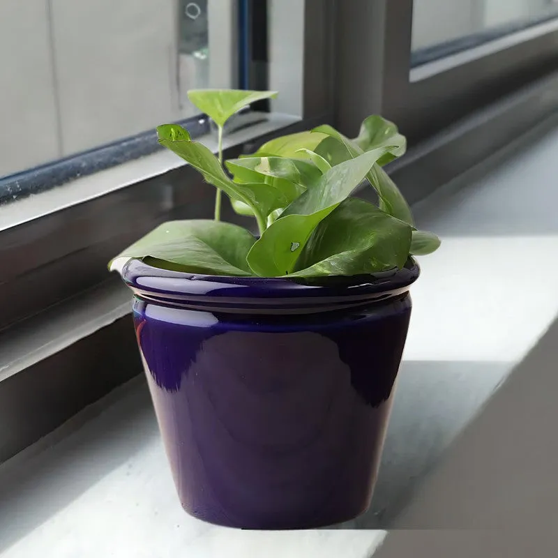 EternaBloom Planter Series - Set Of Two media 5