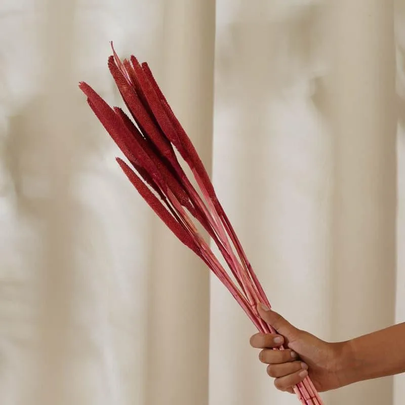 Dried Bajra Stems (2.46 ft) - Red media 4