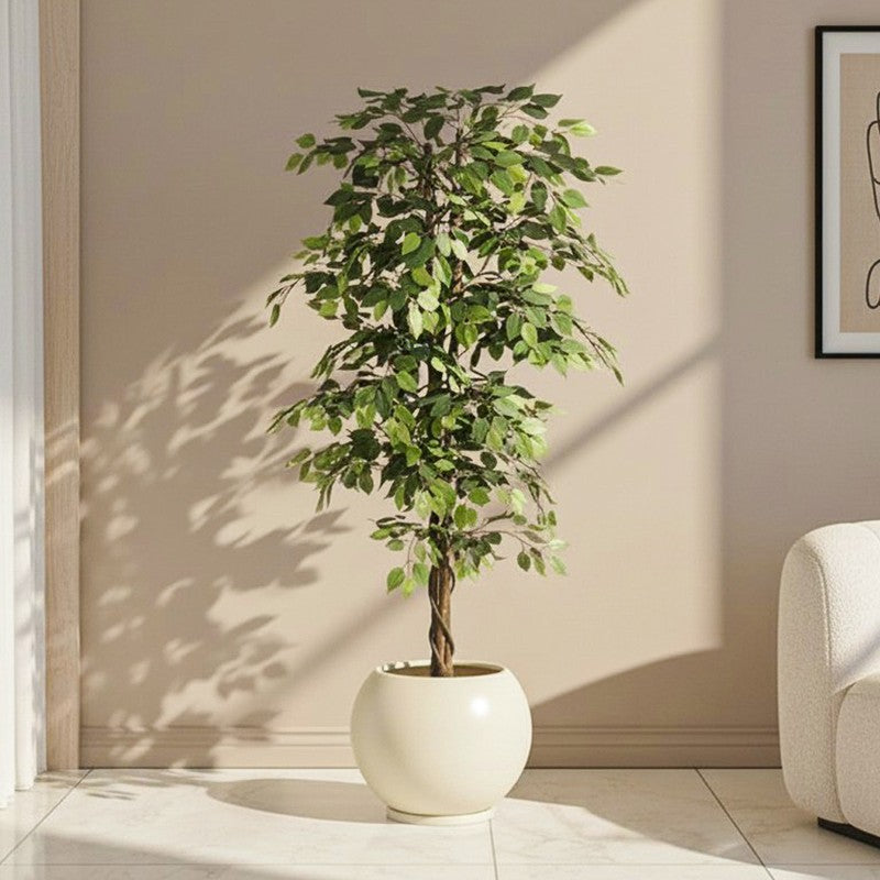 UrbanSprig Artificial Ficus Plant - 5.9 Feet
