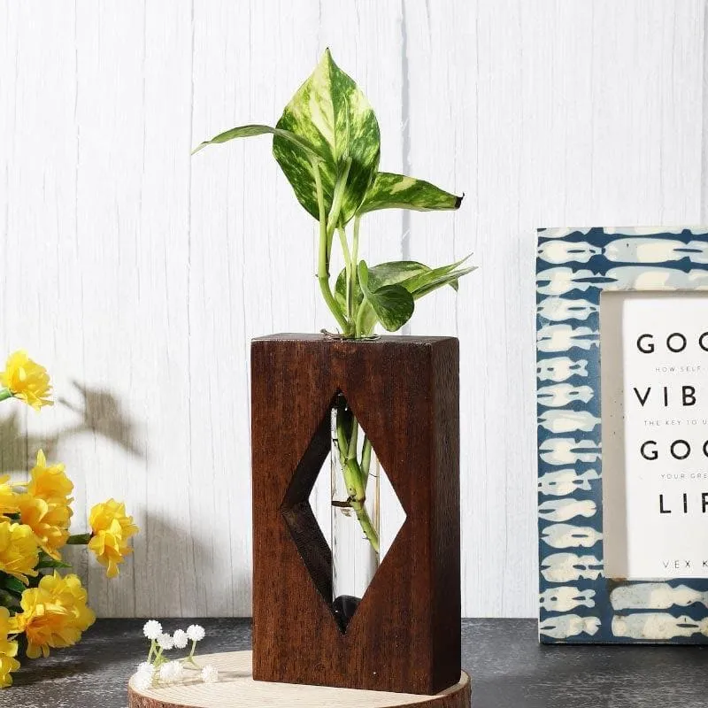 Deki Diamond Testube Planter media 1