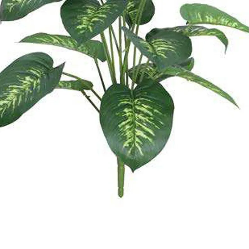 Evergreen Dieffenbachia Artificial Plant Without Pot - 2.3 Feet media 5
