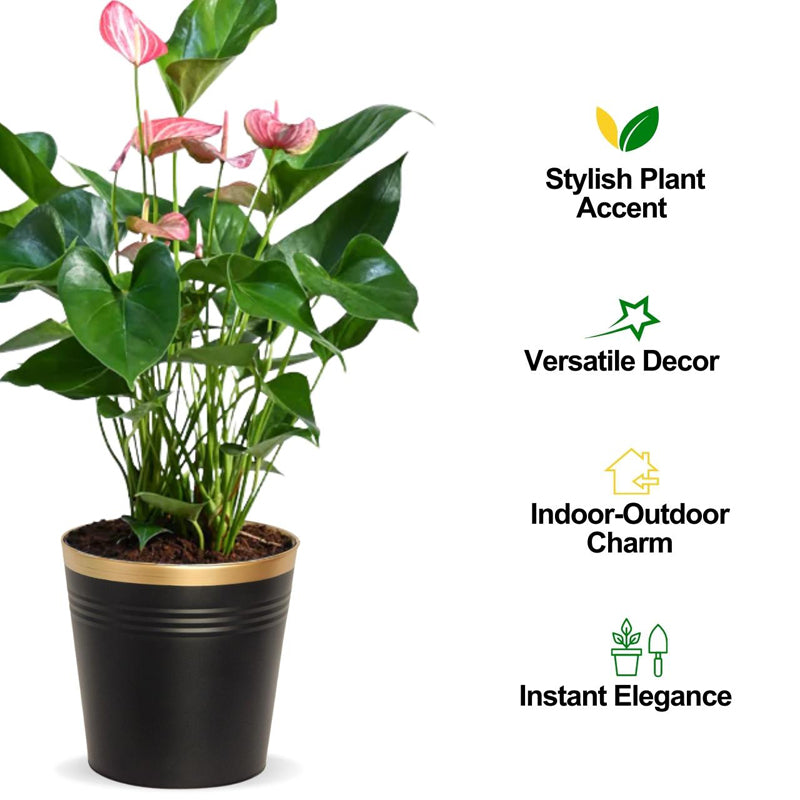 Elno Dola Planter (Black & Gold) - Set Of Three media 8