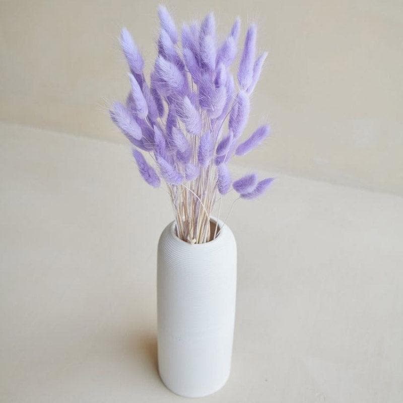 Naturally Dried Bunny Tail Stems (Lilac) - Set Of Fifty media 4