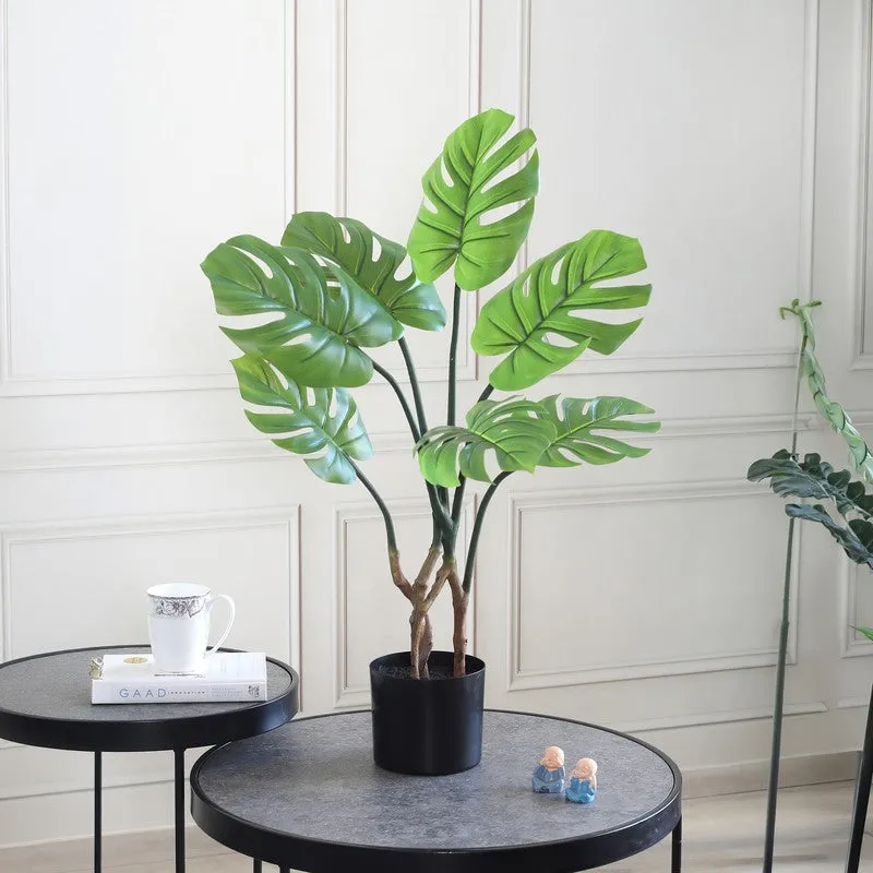 FreshForm Artificial Plant With Black Plastic Pot - 2.6 ft media 3