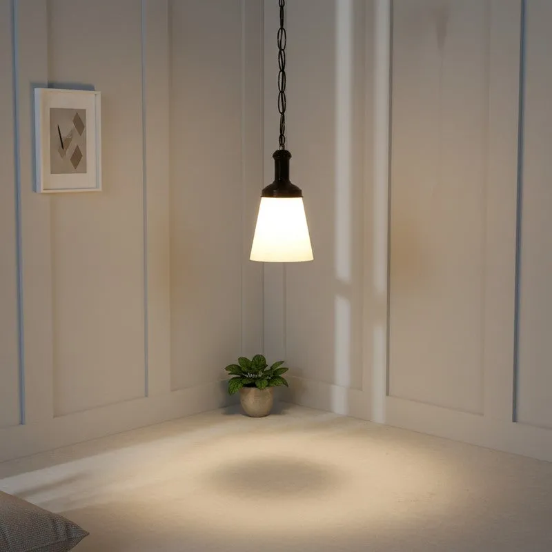 Monochrome PVC Ceiling Lamp media 1