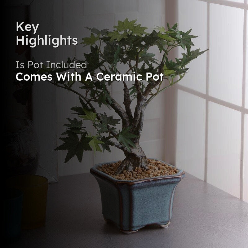 Faux Maple Bonsai In Tub Pot (28 cms) - Green & White media 2