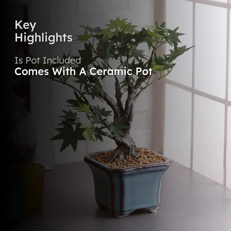 Faux Maple Bonsai In Tub Pot (28 cms) - Green & White media 2