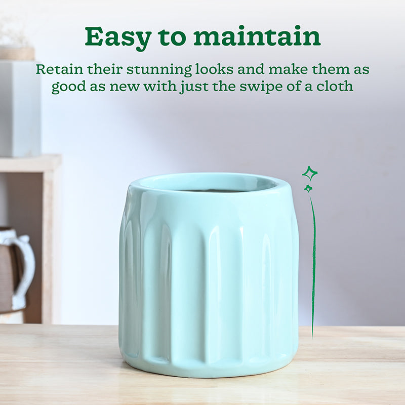 Ugaoo Straits Ceramic Planter - Light Blue media 4