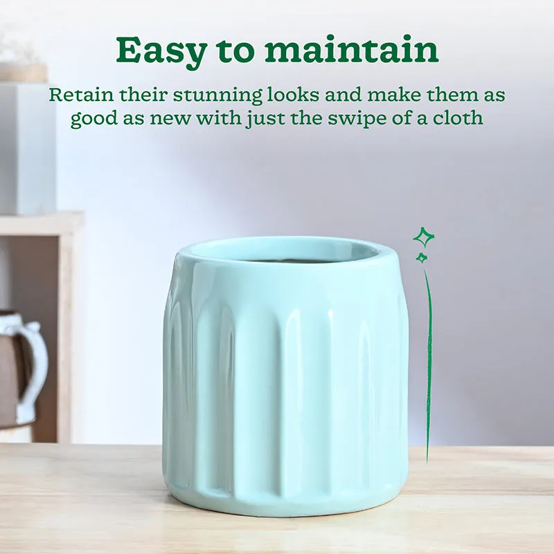 Ugaoo Straits Ceramic Planter - Light Blue - 4