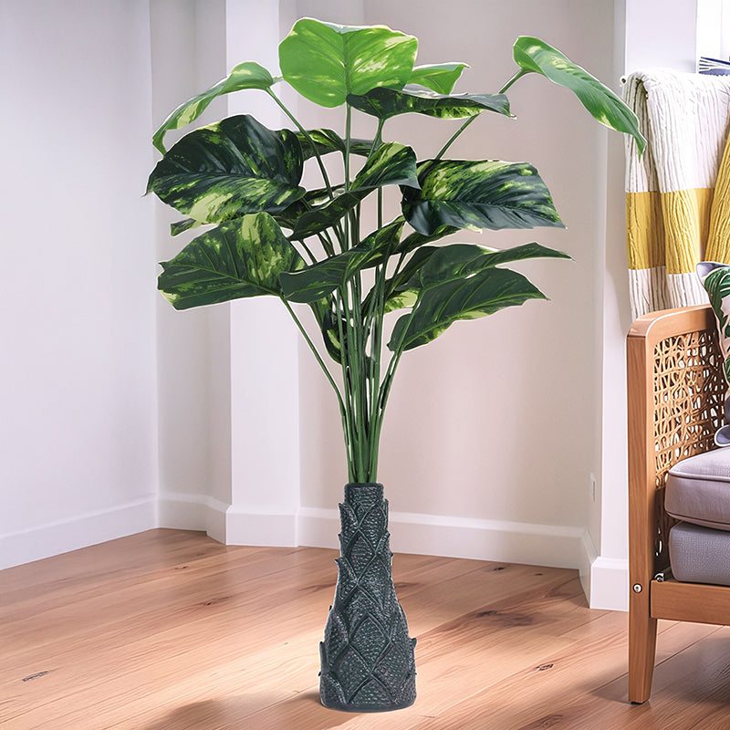 Money Plant I