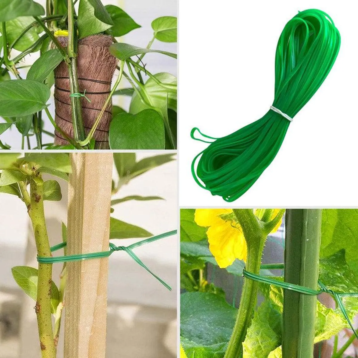 Green tie supporting climbing plants and shown as a coiled length