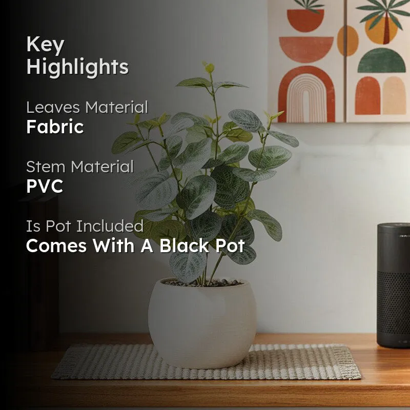 Artificial Eucalyptus Plant With Black Fiber Pot (Green) - 1 Feet media 2