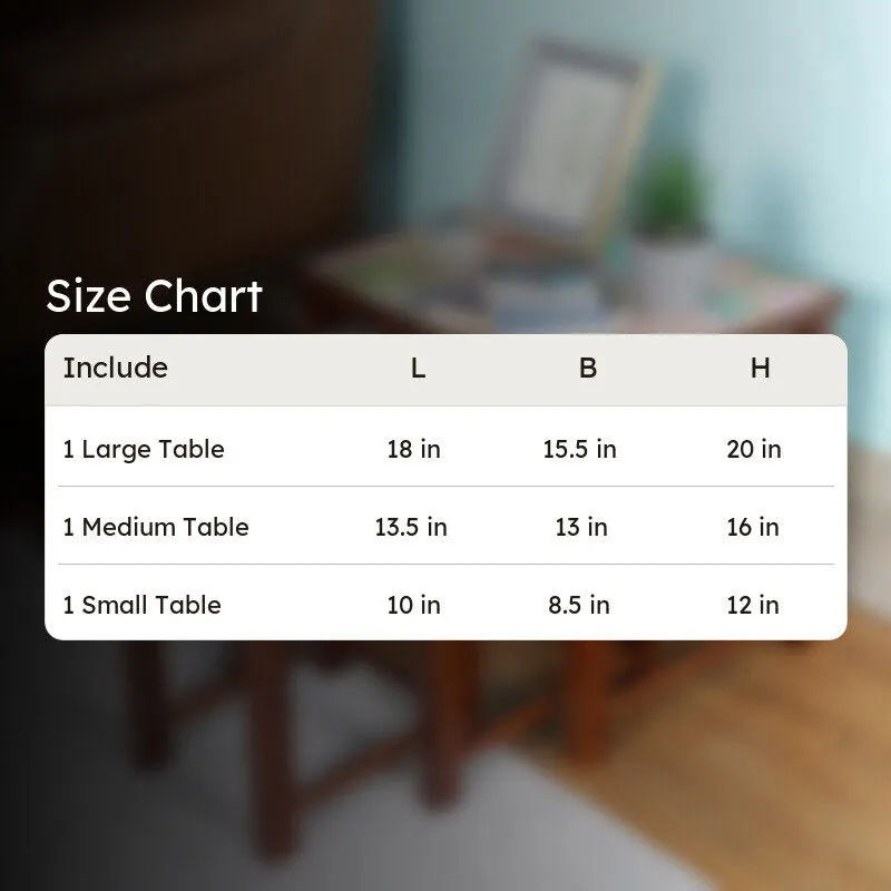 Hridya Side Table - Set Of Three media 13