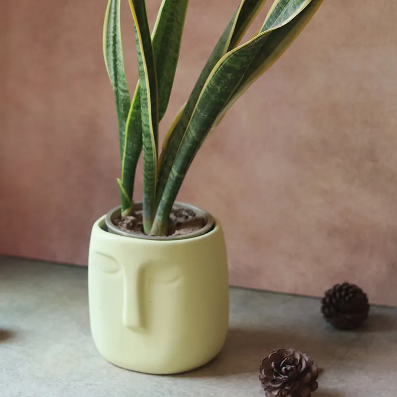 Chehra Ceramic Planter media 4