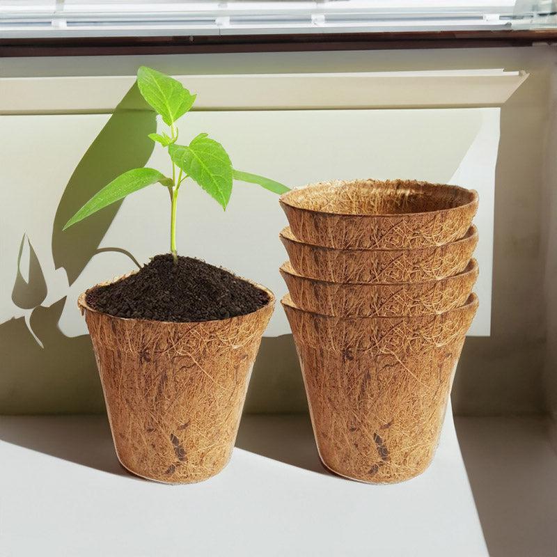 Alsa Coir Pot - Set Of Five media 3