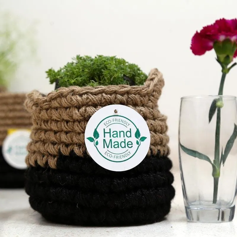 Serene Sanctuaries Jute Planter media 6