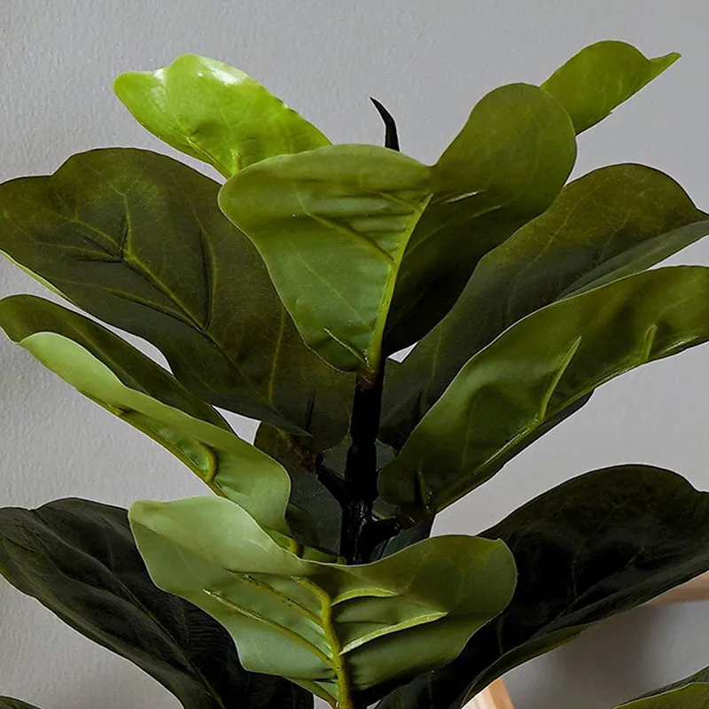 Fidelia Artificial Fiddle Fig Plant - 1 Feet media 7