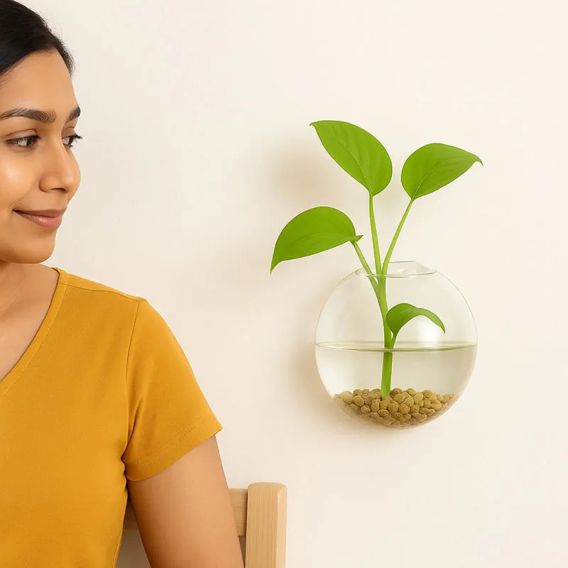 Person looking at a wall-mounted transparent glass vase with green leaves