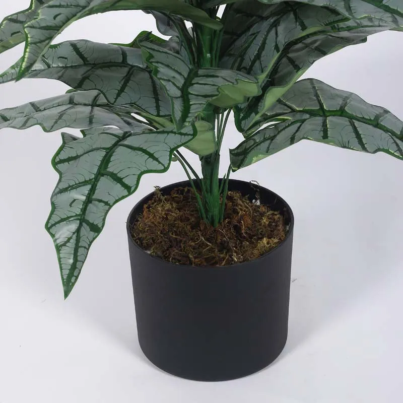 Faux Lush Happy Philo Plant With Black Plastic Pot - 2.8 Feet media 6