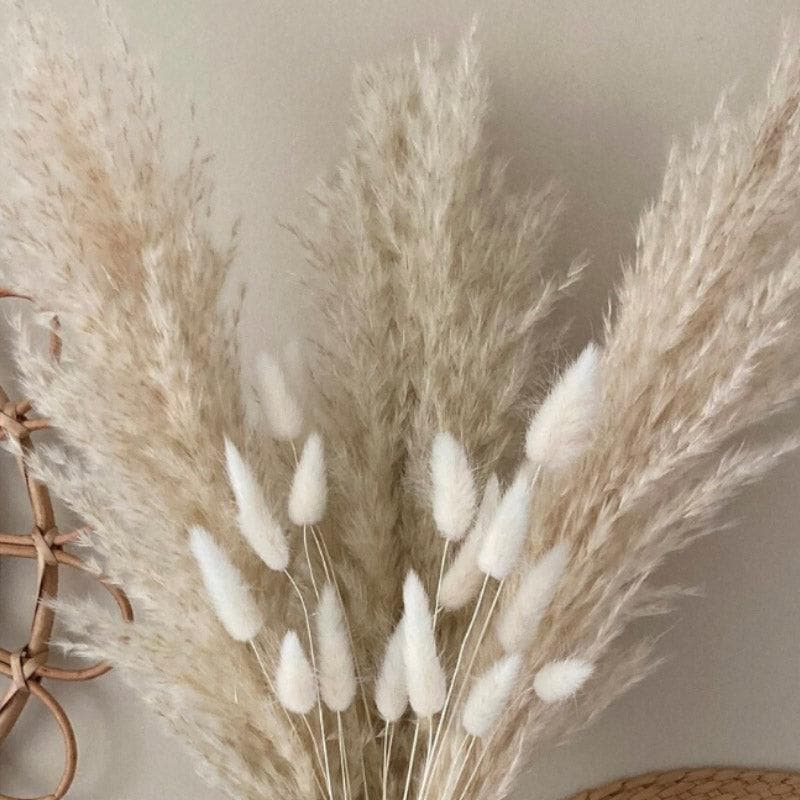 Naturally Dried Pampas And Bunny Tail Flower Bunch - Set Of Fifteen media 3