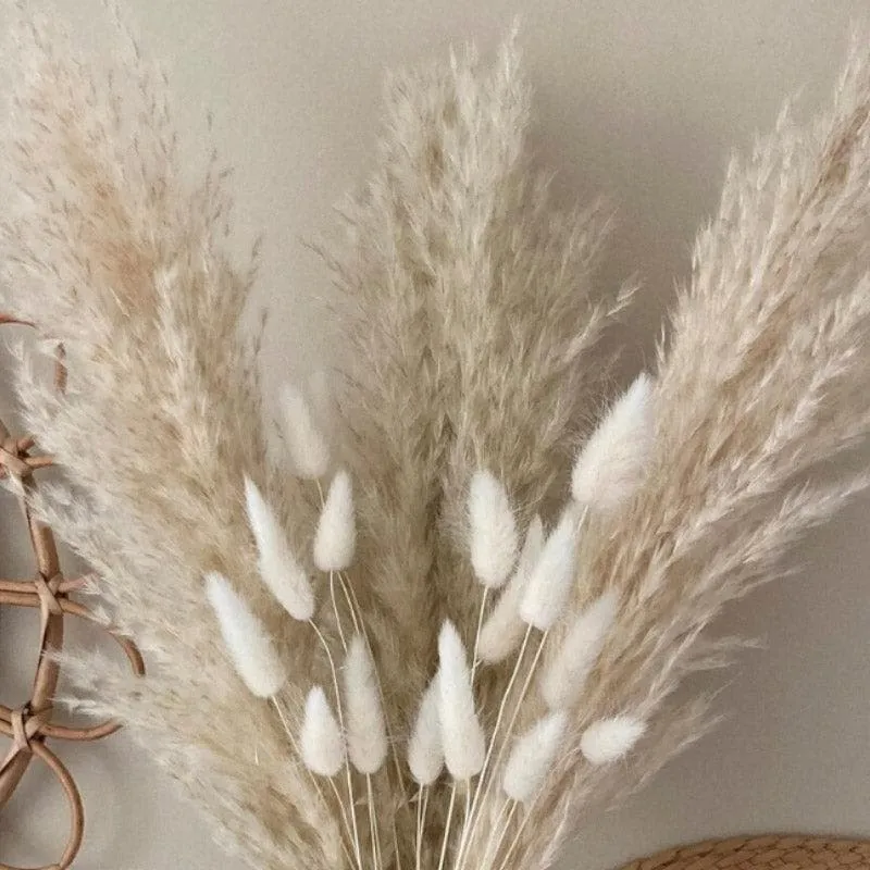 Naturally Dried Pampas And Bunny Tail Flower Bunch - Set Of Fifteen media 3