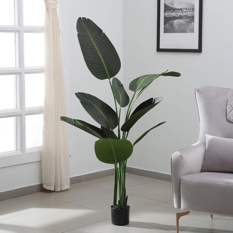 Faux Tropical Bird of Paradise Plant With Black Plastic Pot - 4.9 Feet media 4