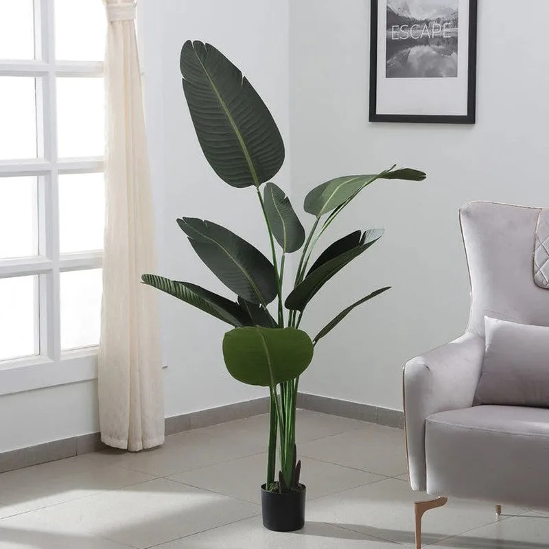 Faux Tropical Bird of Paradise Plant With Black Plastic Pot - 4.9 Feet media 4