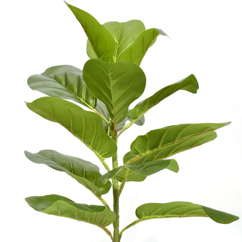 Stemly Artificial Fiddle Fig Plant With Black Plastic Pot - 2.5 Feet media 4