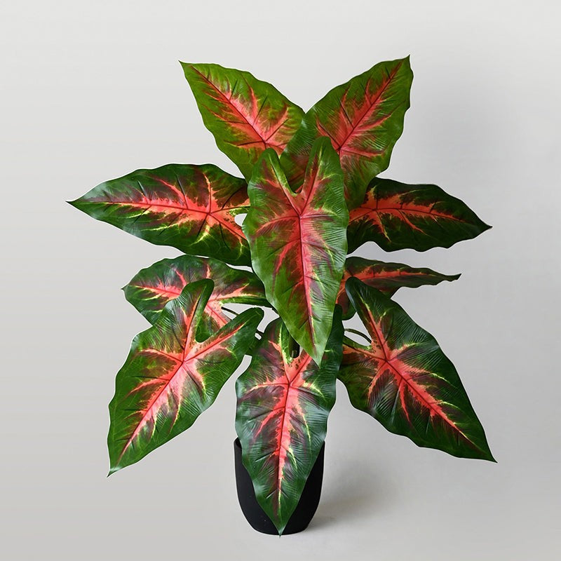 Faux Red Flash Caladium Artificial Plant With Black Plastic Pot - 79 cm (2.6 ft) image 4
