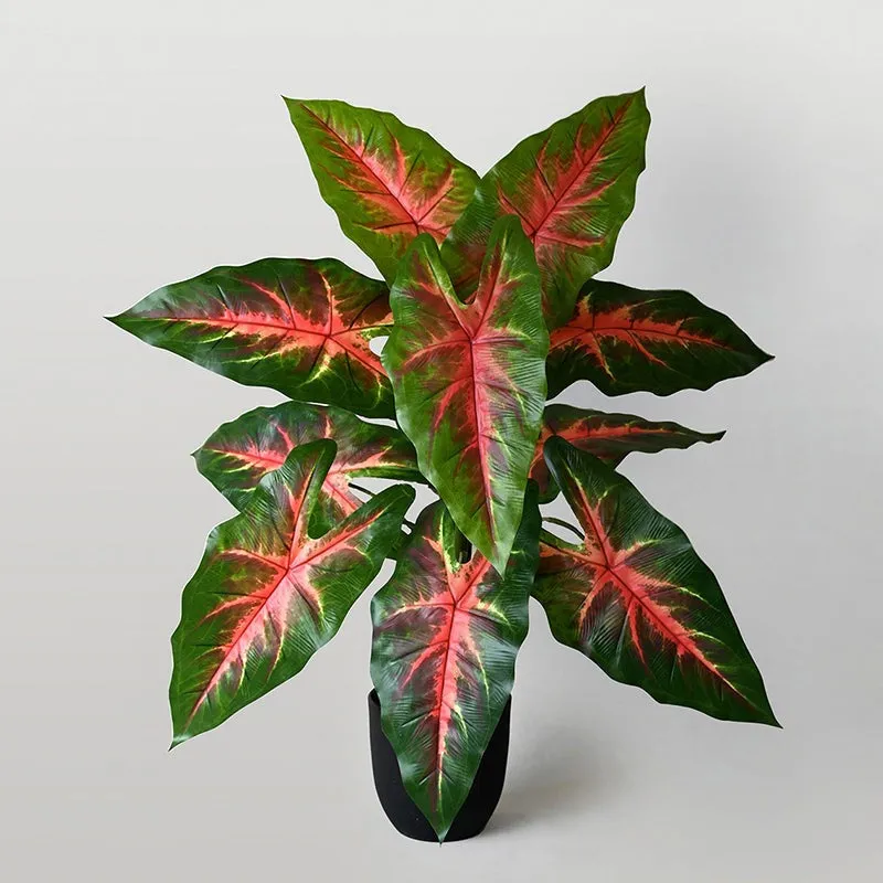 Faux Red Flash Caladium Artificial Plant With Black Plastic Pot - 79 cm (2.6 ft) media 4