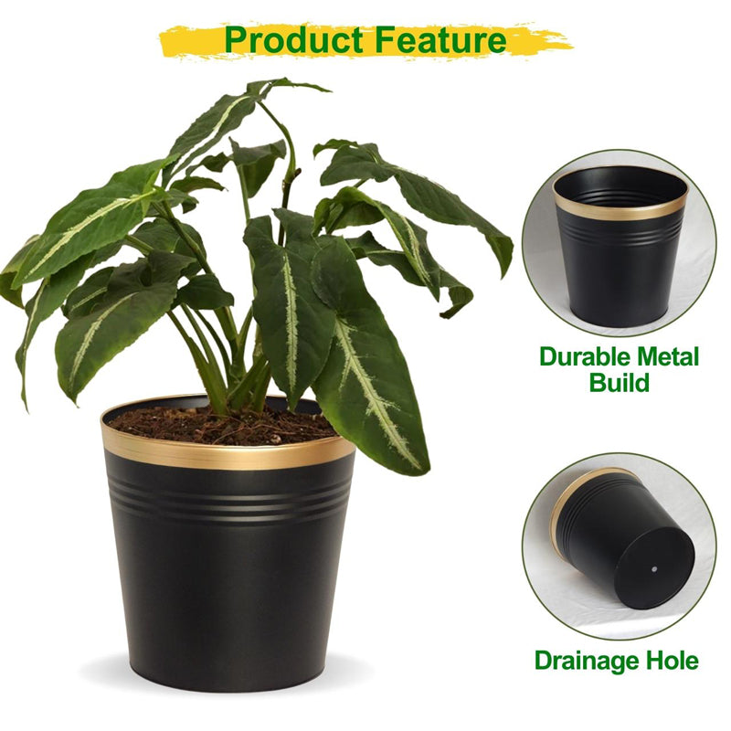Elno Dola Planter (Black & Gold) - Set Of Three media 7