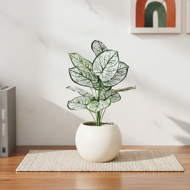 1.8 ft Faux White Dubia Monstera Plant With Black Plastic Pot